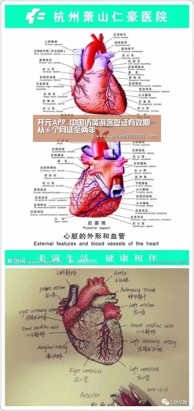 开元APP_中国访英游客签证有效期从6个月延至两年(图1) 开元真人