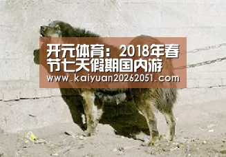 开元体育:2018年春节七天假期国内游(图1) 开元体育
