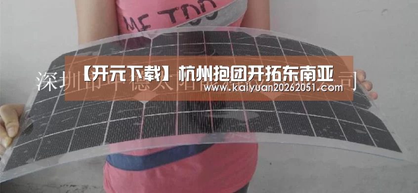 【开元下载】杭州抱团开拓东南亚(图3) 开元下载