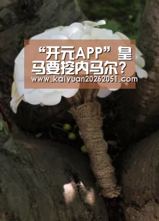 “开元APP”皇马要挖内马尔?抬价巴萨而已 齐祖只想要姆巴佩(图1) 开元下载