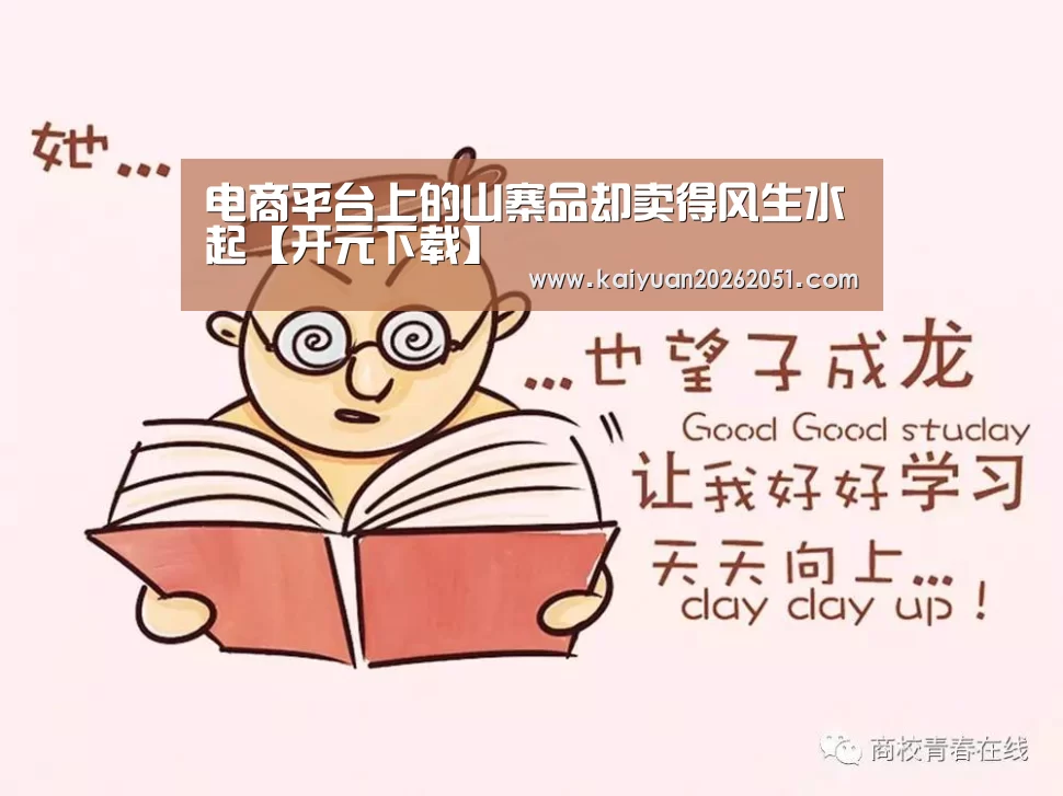 电商平台上的山寨品却卖得风生水起【开元下