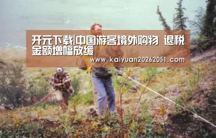 开元下载|中国游客境外购物 退税金额增幅放缓(图1) 开元下载