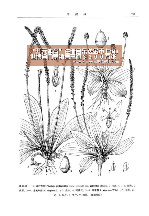 “开元体育”注册合乐送金币上海:世博会门票销售已逾3300万张(图2) 开元下载